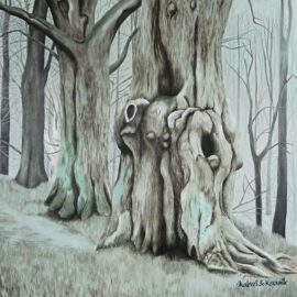 Alter Baumstamm Alter Baumstamm