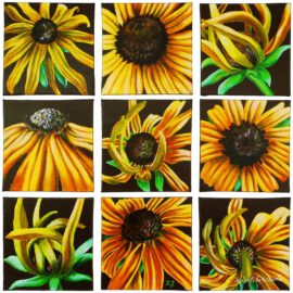 Sonnenhut N°1-9 Sonnenhut N°1-9