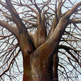 Baum im November Baum im November